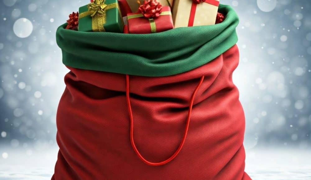 giant Christmas bag